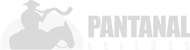 Pantanal Leilões