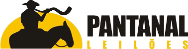 Pantanal Leilões
