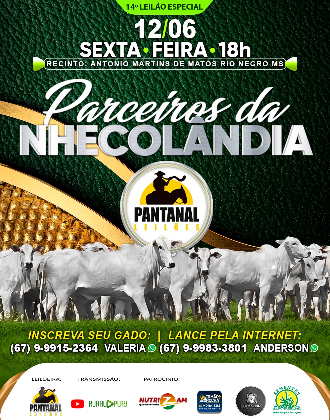 14º Leilão de Especial - Parceiros da Nhecolândia - Pantanal Leilões
