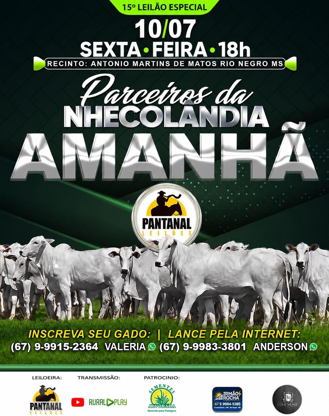 15º Leilão de Especial - Parceiros da Nhecolândia - Pantanal Leilões