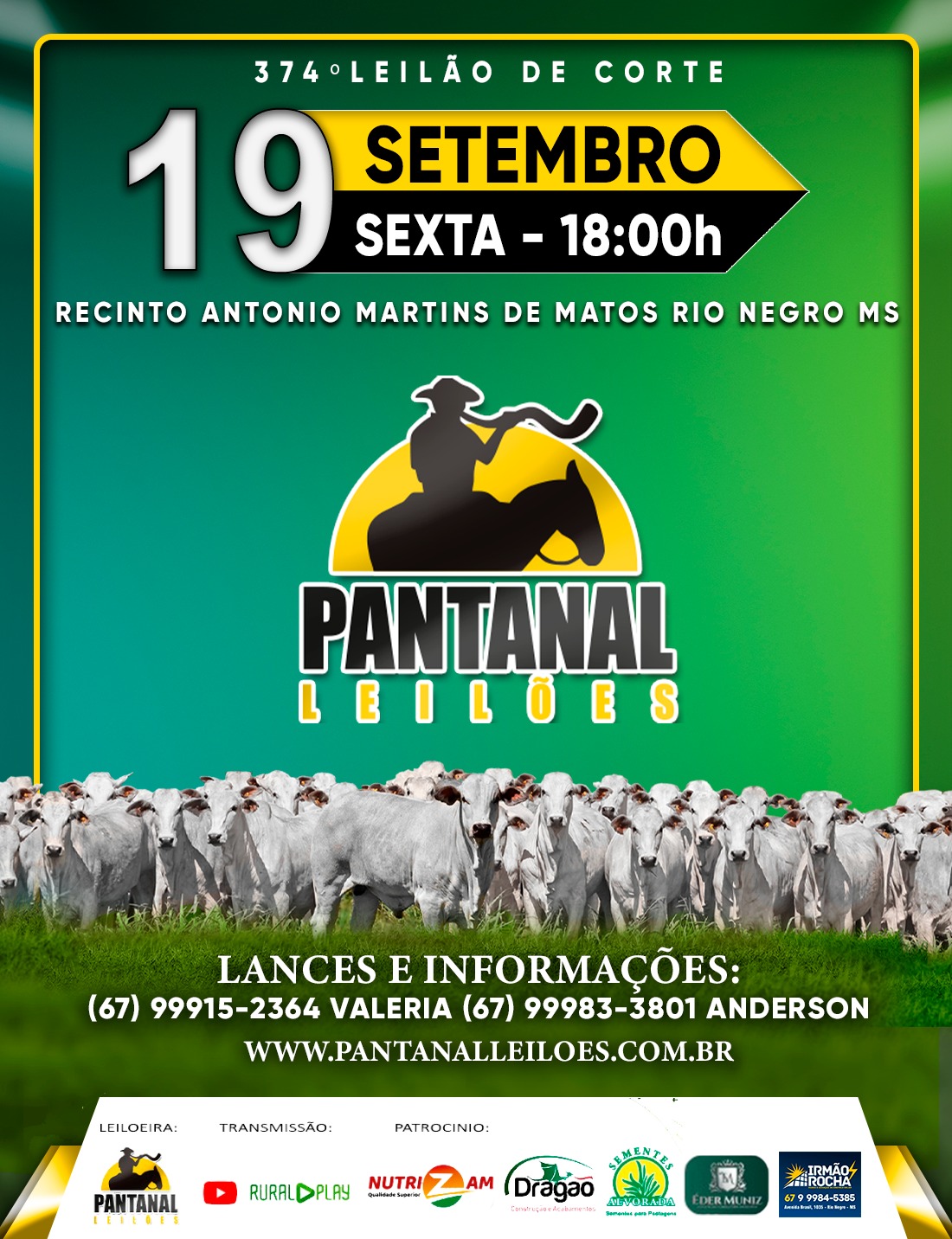 374º Leilão de Corte - Pantanal Leilões