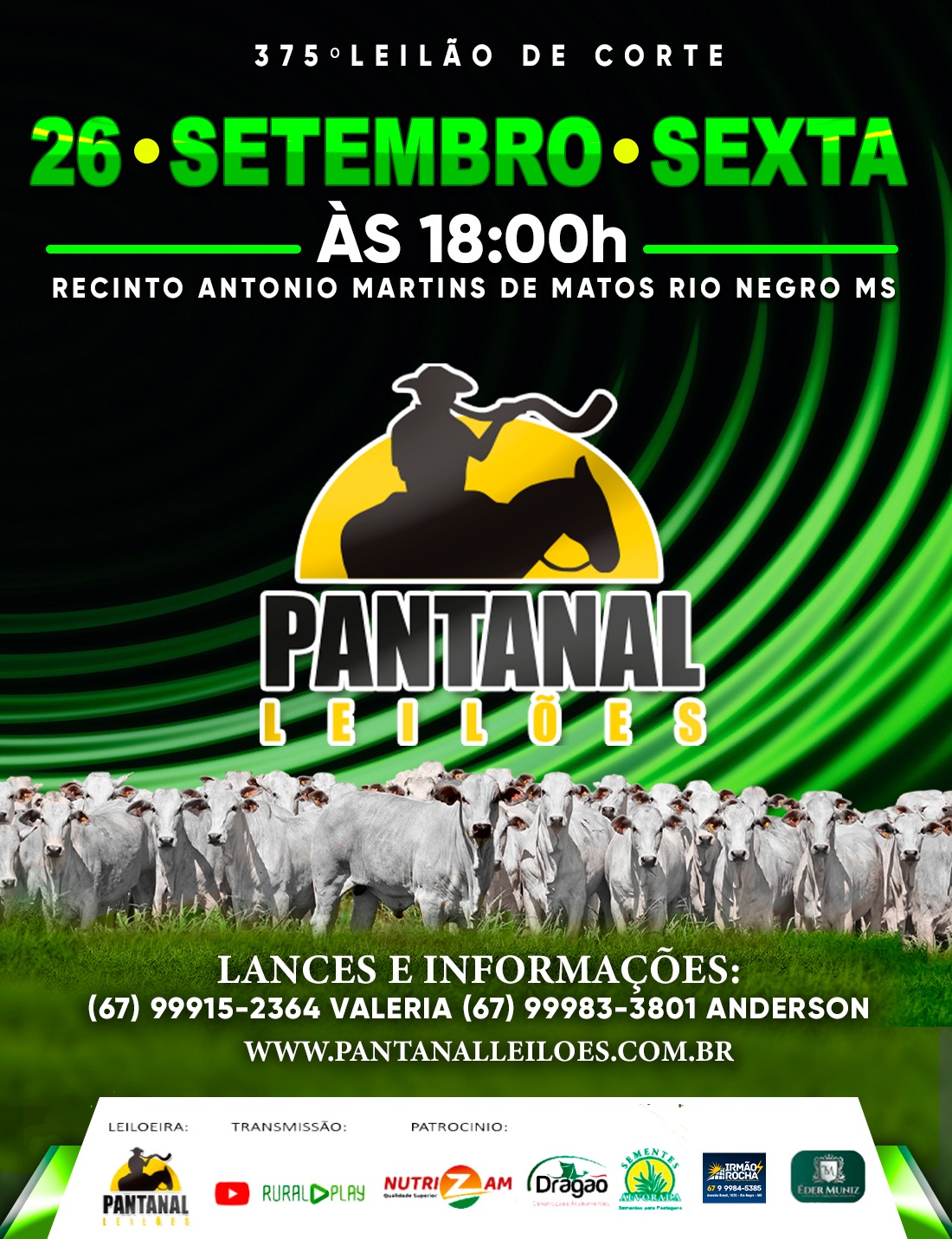 375º Leilão de Corte - Pantanal Leilões