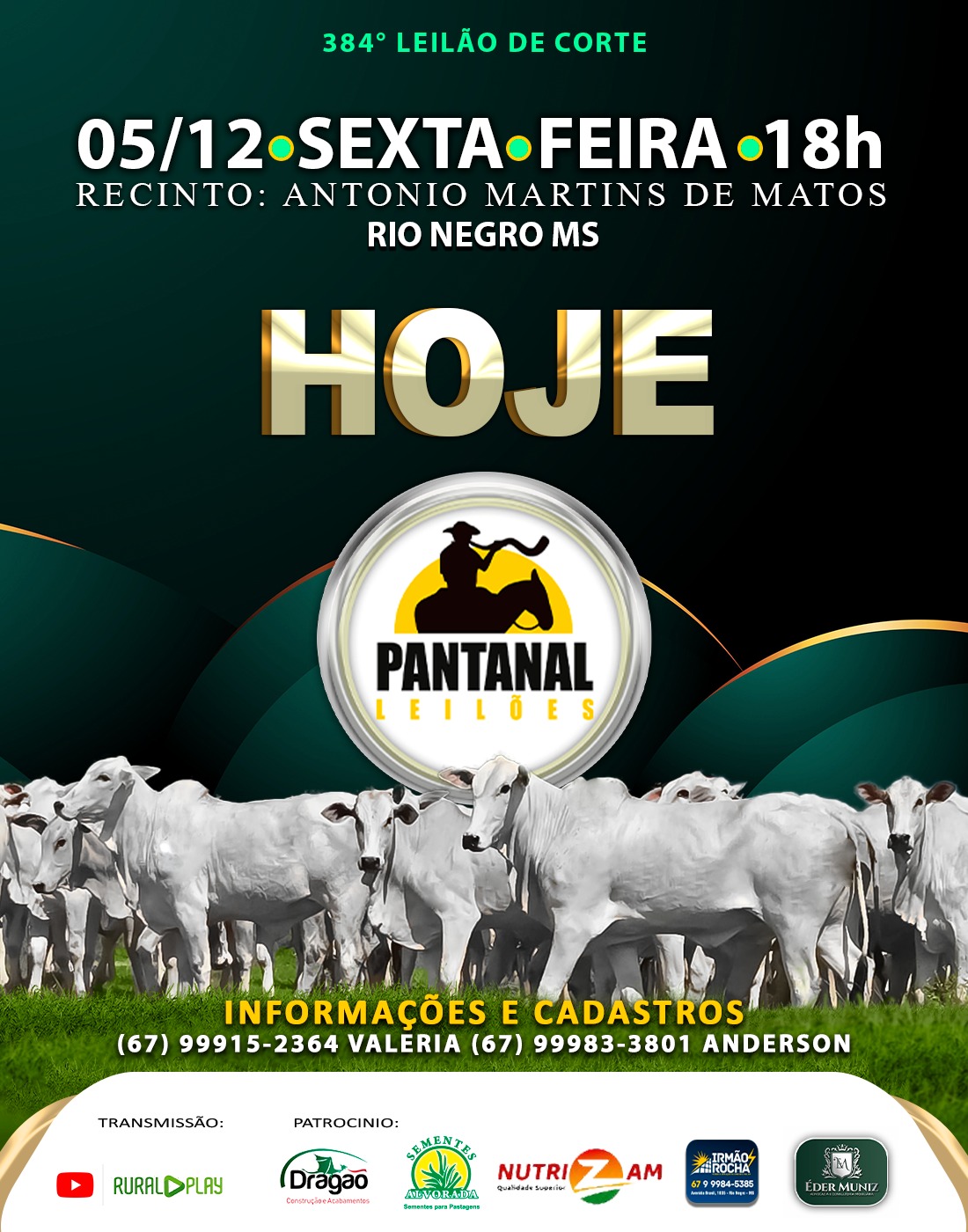 384º Leilão de Corte - Pantanal Leilões
