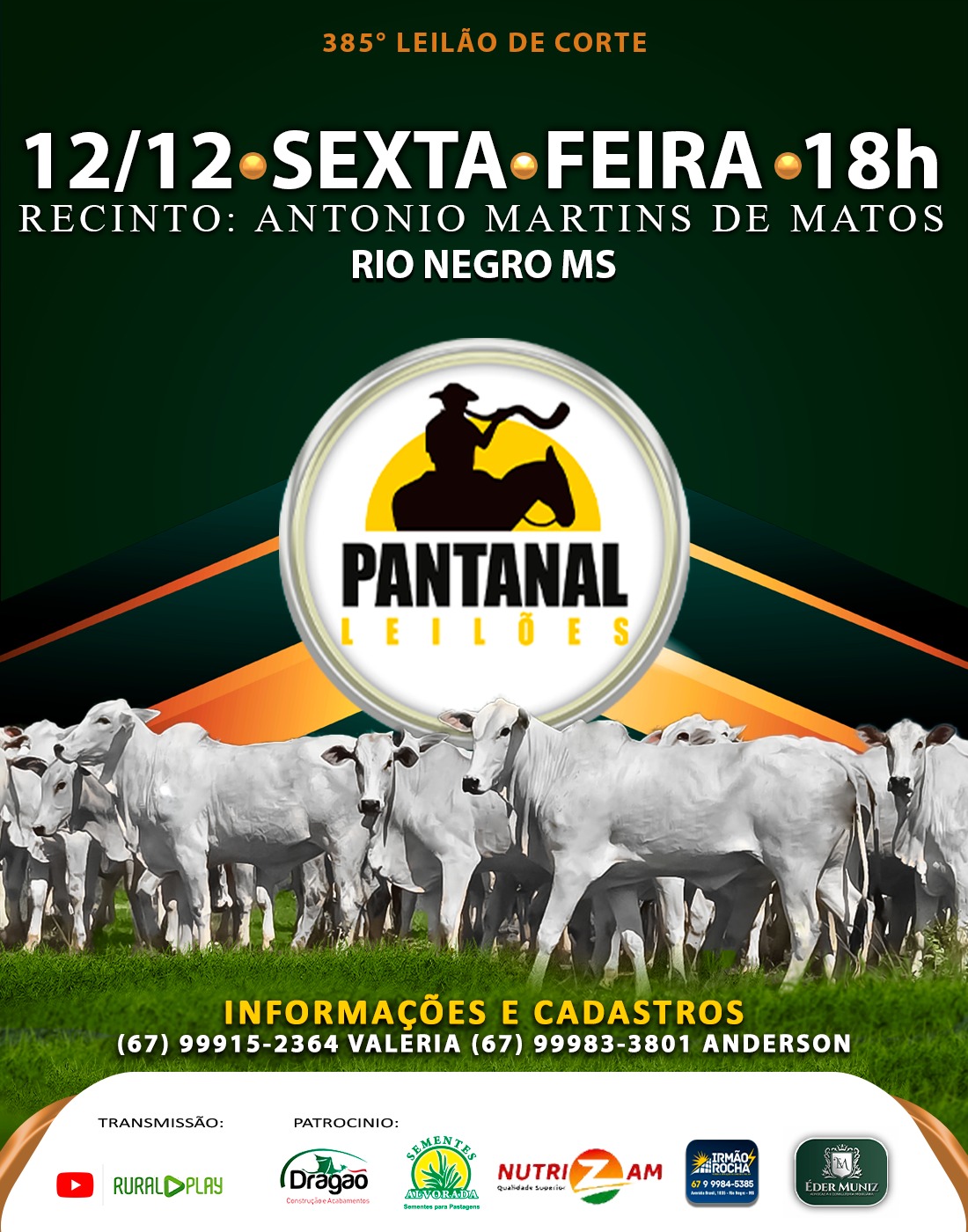 385º Leilão de Corte - Pantanal Leilões