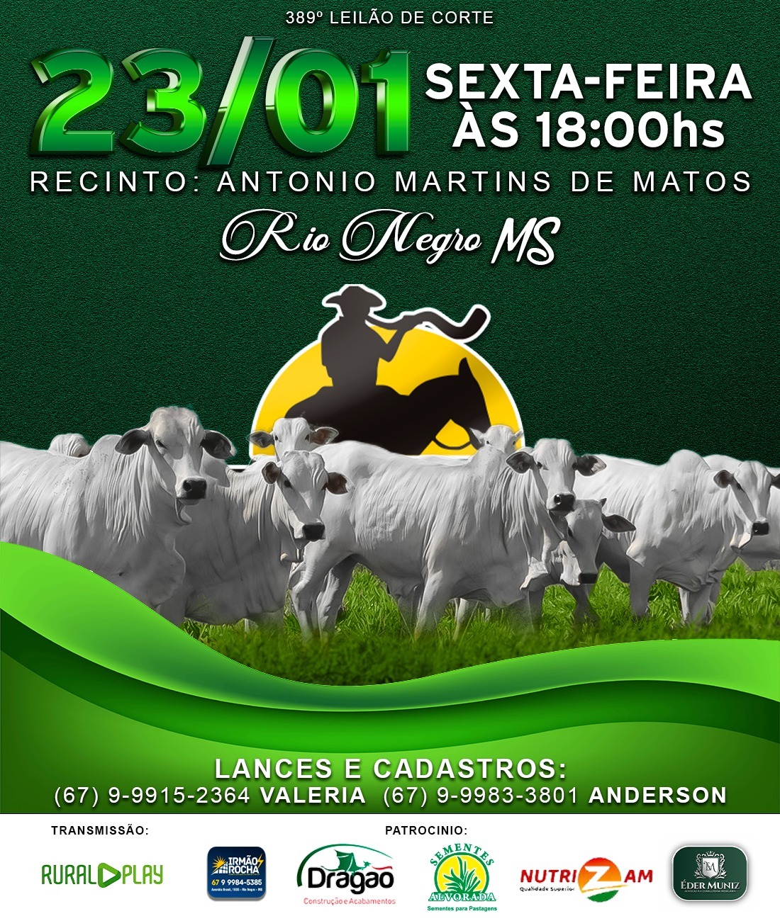 389º Leilão de Corte - Pantanal Leilões