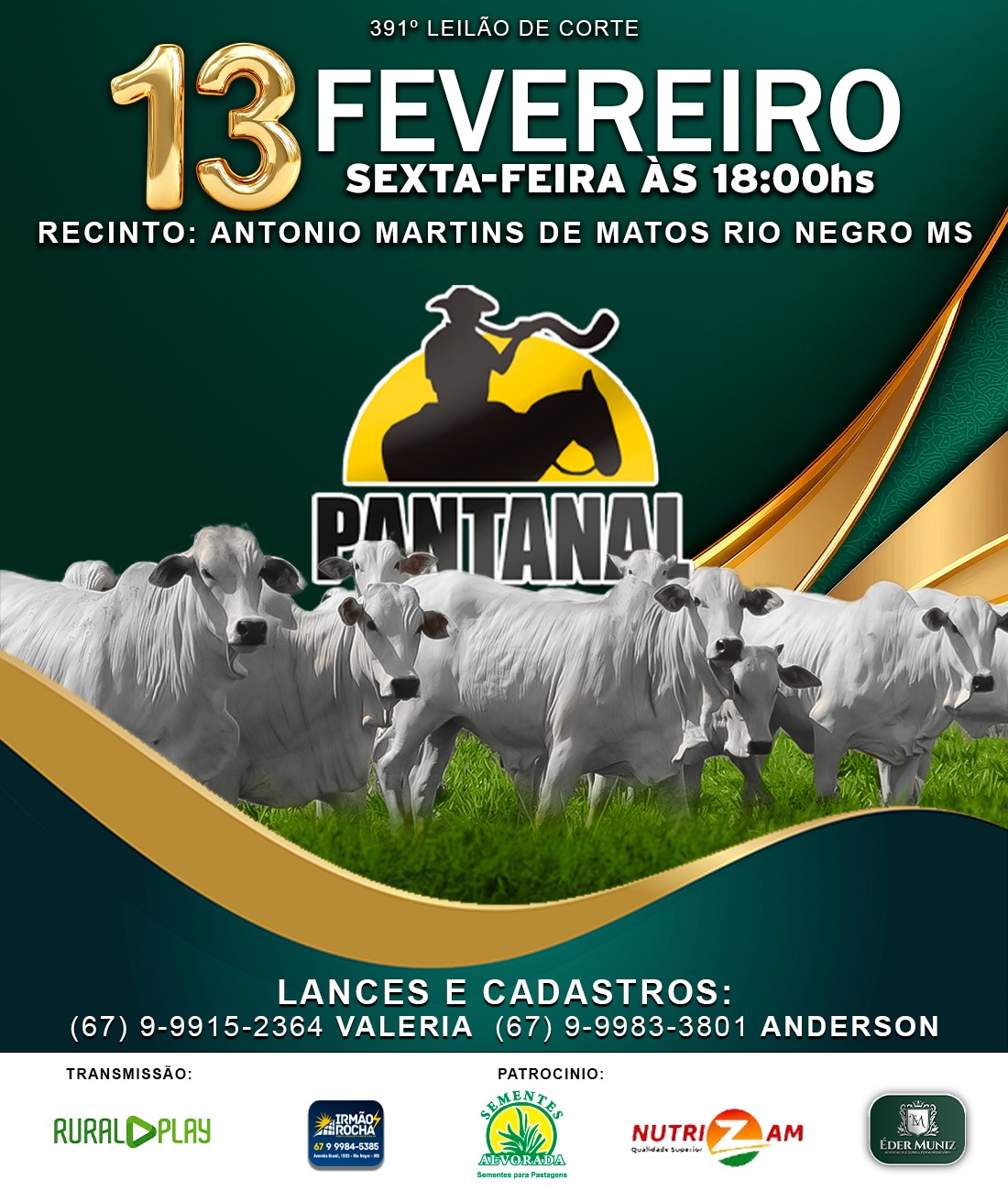 391º Leilão de Corte - Pantanal Leilões
