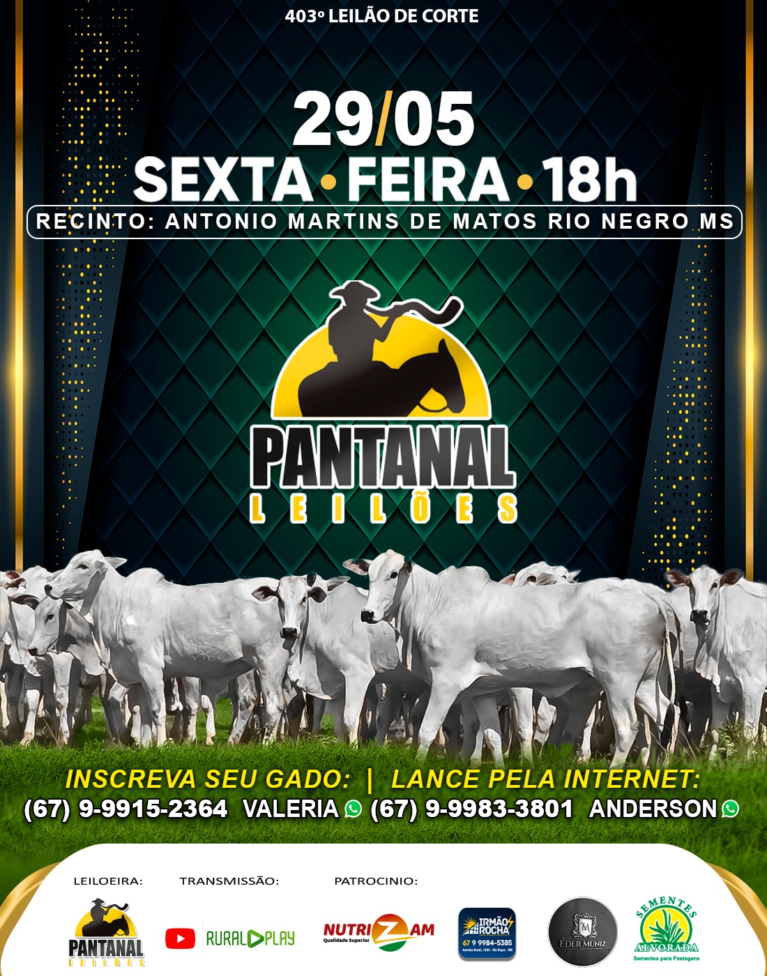 403º Leilão de Corte - Pantanal Leilões