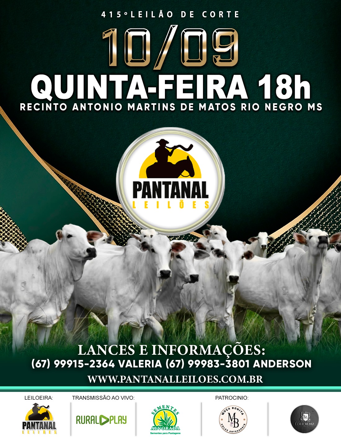 415° LEILÃO DE CORTE - PANTANAL LEILÕES