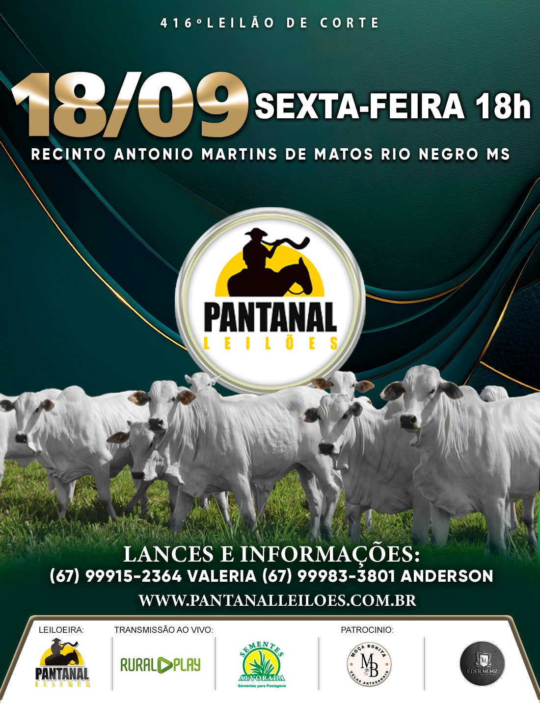 416° LEILÃO DE CORTE - PANTANAL LEILÕES