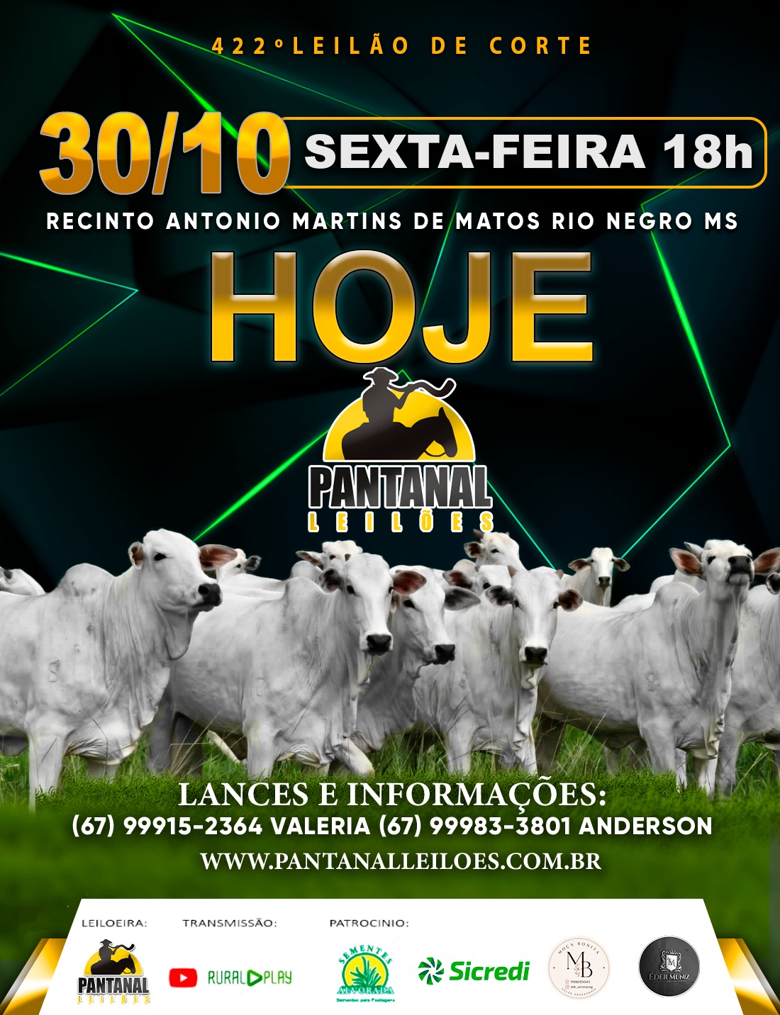 422° LEILÃO DE CORTE - PANTANAL LEILÕES