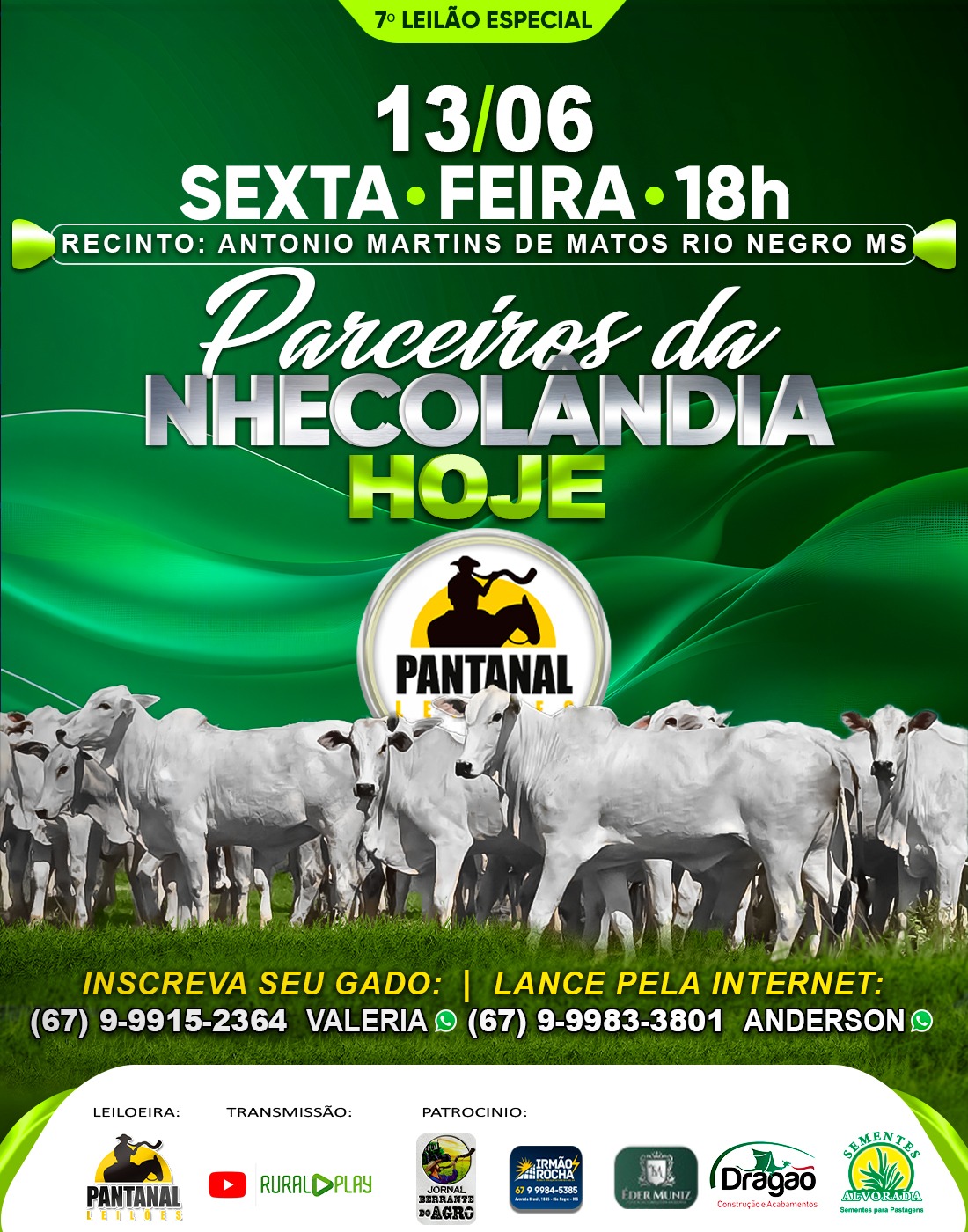 7º PARCEIROS NHECOLÂNDIA - RIO NEGRO - MS