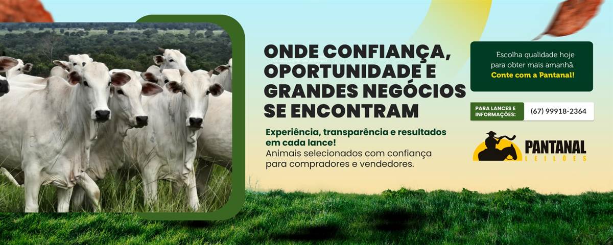 Confiança, Oportunidade e Grandes negócios